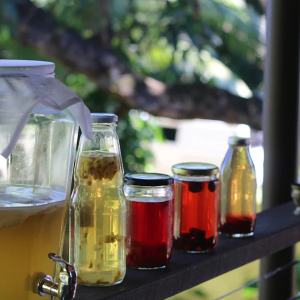 Berry Hibiscus Kombucha Duo — Beverages at Ham Dealer