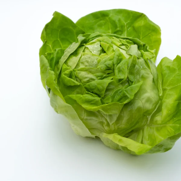 Butter Lettuce Twin Pack — Fresh Produce at Ham Dealer