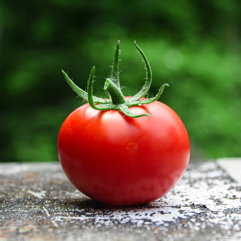 Heirloom Cherry Tomato Medley β Fresh Produce at Ham Dealer