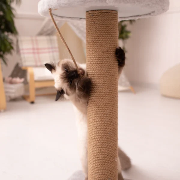 Modern Cat Tree Tower 52" — Pet Supplies at Ham Dealer