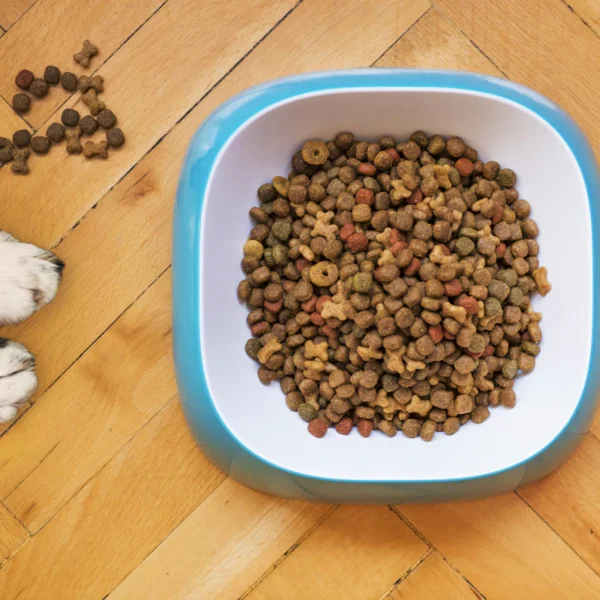 Natural Chicken Dog Treats 16 oz — Pet Supplies at Ham Dealer