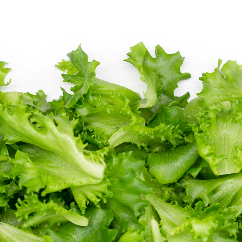 Organic Baby Spinach & Greens Blend β Fresh Produce at Ham Dealer