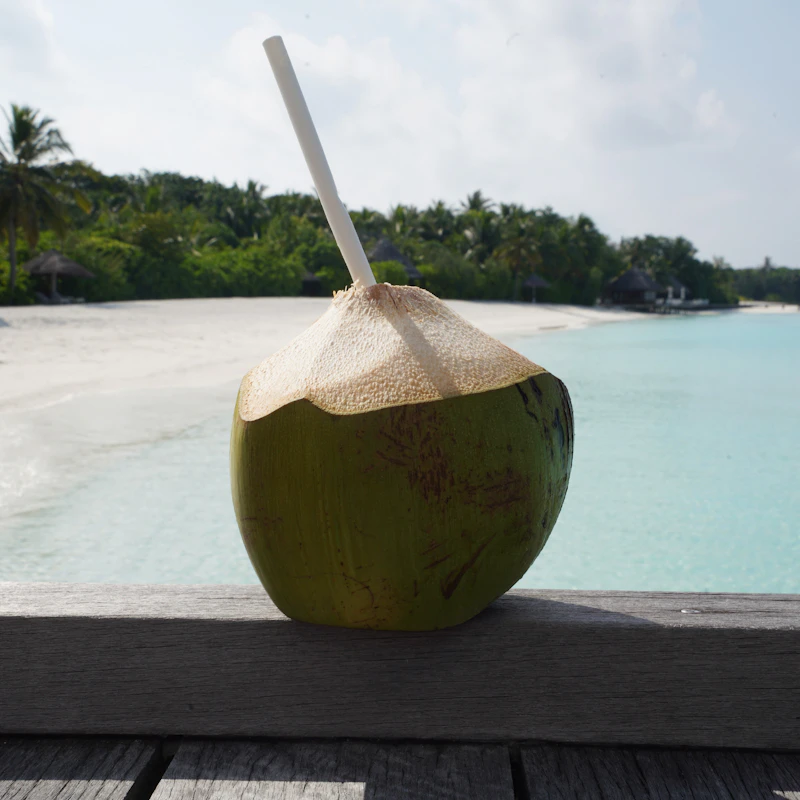 Pure Coconut Water 6-Pack β Beverages at Ham Dealer