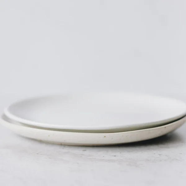 Stoneware Dinner Plate Set of 4 — Home & Kitchen at Ham Dealer